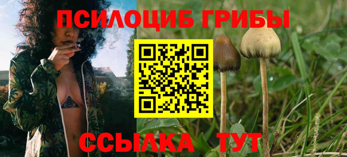 Галлюциногенные грибы Cubensis Арзамас