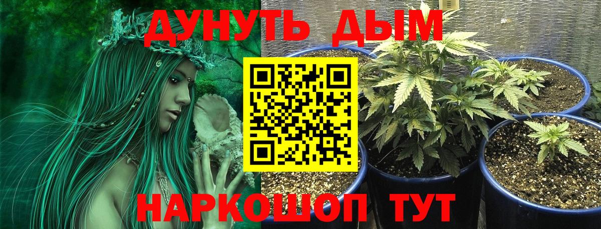Арзамас  Марихуана ГИДРОПОН  Каннабис планчик  Бошки марихуана Amnesia  Вход с VPN 